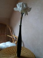 Vase mit Dekoblume Niedersachsen - Ahlerstedt Vorschau