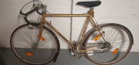 Rennrad Peugeot PA15 Gold wie PA10 vintage alt retro selten 70er Hamburg-Nord - Hamburg Langenhorn Vorschau