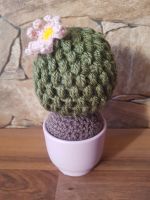 Zimmerpflanze selbstgehäkelt pflegeleicht cozy Amigurumi Kaktus Hessen - Hessisch Lichtenau Vorschau