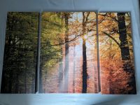 Leinwandbild Sonnenlicht im Wald, dreiteilig, 113x75 cm Baden-Württemberg - Kernen im Remstal Vorschau