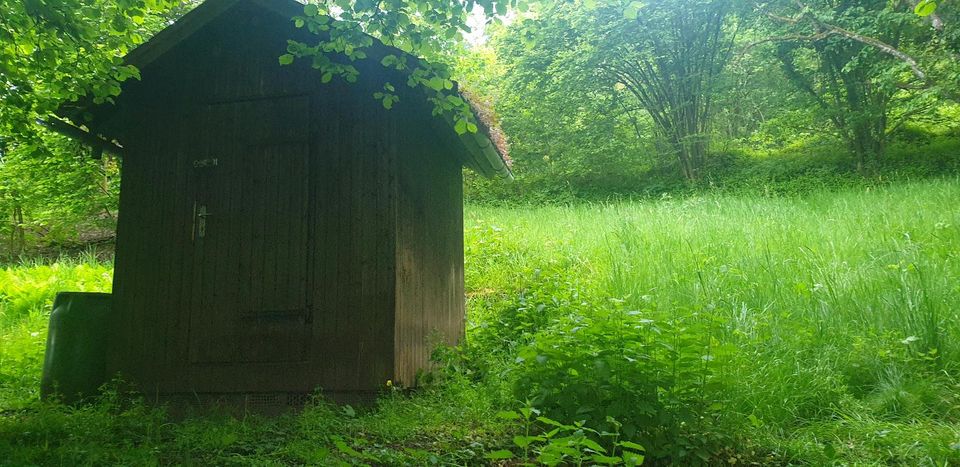 Schönes Grundstück zu Verpachten in Kernen im Remstal