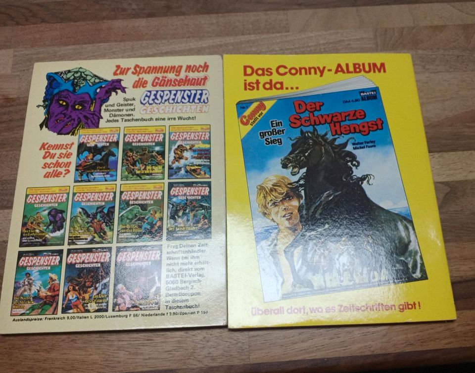 COMICS GESPENSTERGESCHICHTEN BD 25/ALAN DARK BD 4 in Bochum