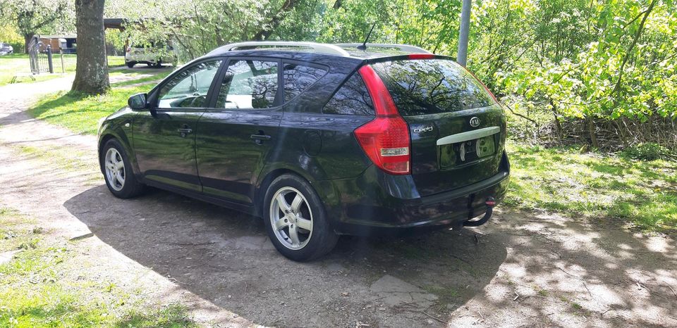 Kia Ceed ED Sporty Wagon in Stavenhagen