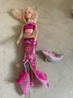 Barbie mit Delphin Nordrhein-Westfalen - Jülich Vorschau