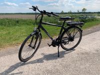 E-Bike Elektrofahrrad Prophete Dithmarschen - Meldorf Vorschau