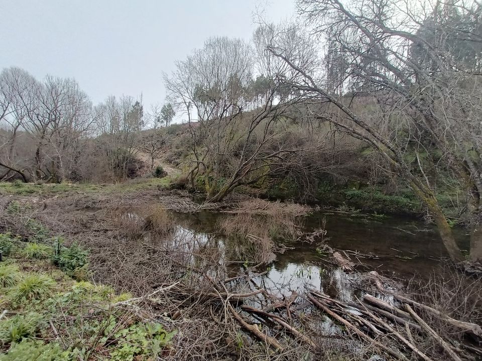 2,7 ha mit einem natürlichen Teich und Bach im Zentralportugal in München