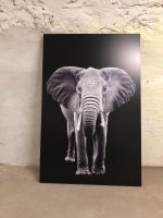 Bild Wandbild Elefant IKEA Niedersachsen - Göttingen Vorschau