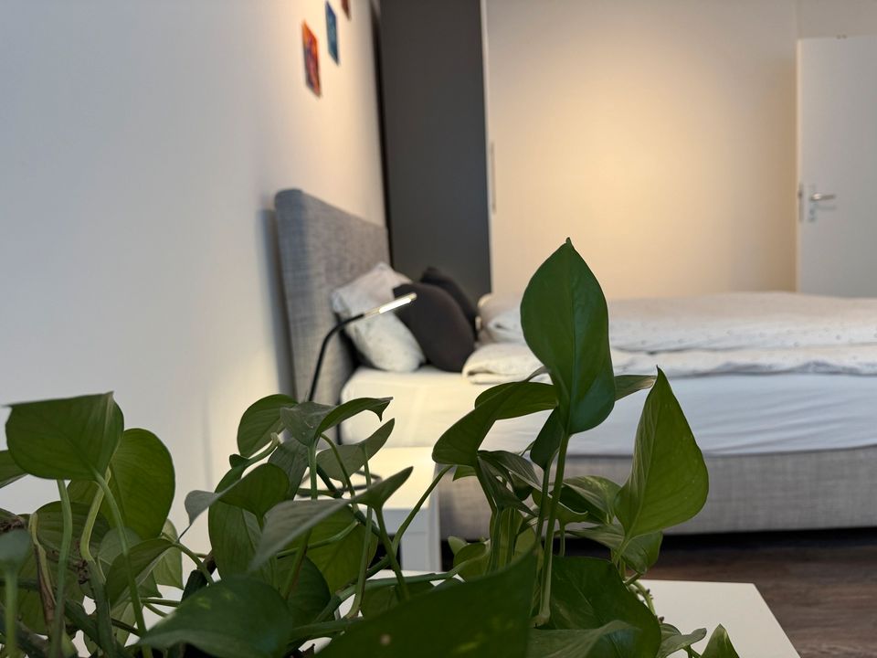 WG-Zimmer mit eigenem Bad - möbliert in Dortmund