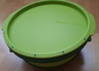 Tupperware Dampfgarer Mikrowelle Micro Gourmet 101 f Mikrowelle Hannover - Mitte Vorschau