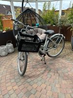 Kettler Berlin Cargo Bike Damen Cityrad Fahrrad 28 Zoll Nordrhein-Westfalen - Greven Vorschau