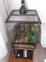 Exo Terra Terrarium mit Zubehör Bayern - Augsburg Vorschau