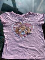 T- Shirt Sky Paw Patrol 116 rosa süß Bayern - Thurnau Vorschau