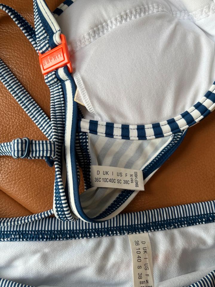 Esprit Bikini 36 Cup C blau gestreift Push up neuwertig! in Meine
