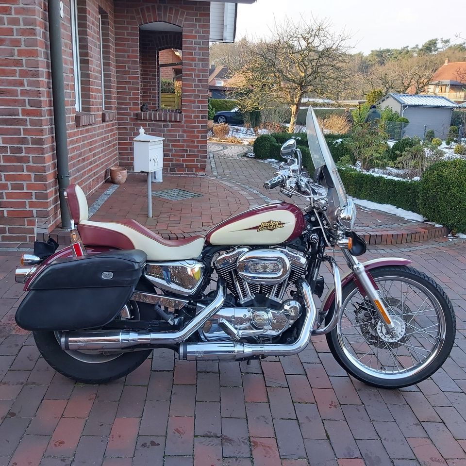 Harley Davidson Sportster XL1200C in Ganderkesee