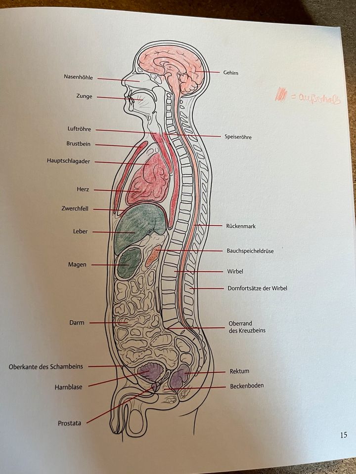 I care Anatomie kreativ lernen Thieme in Hannover