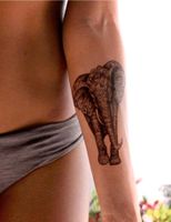 Faye Halliday Art - Temporary Tattoo Haathi Hannover - Linden-Limmer Vorschau