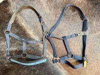 2 Halfter blau Eskadron&Goldhorse Cob neu Nordrhein-Westfalen - Krefeld Vorschau