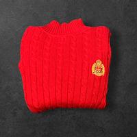 Polo Ralph lauren Pullover Berlin - Köpenick Vorschau