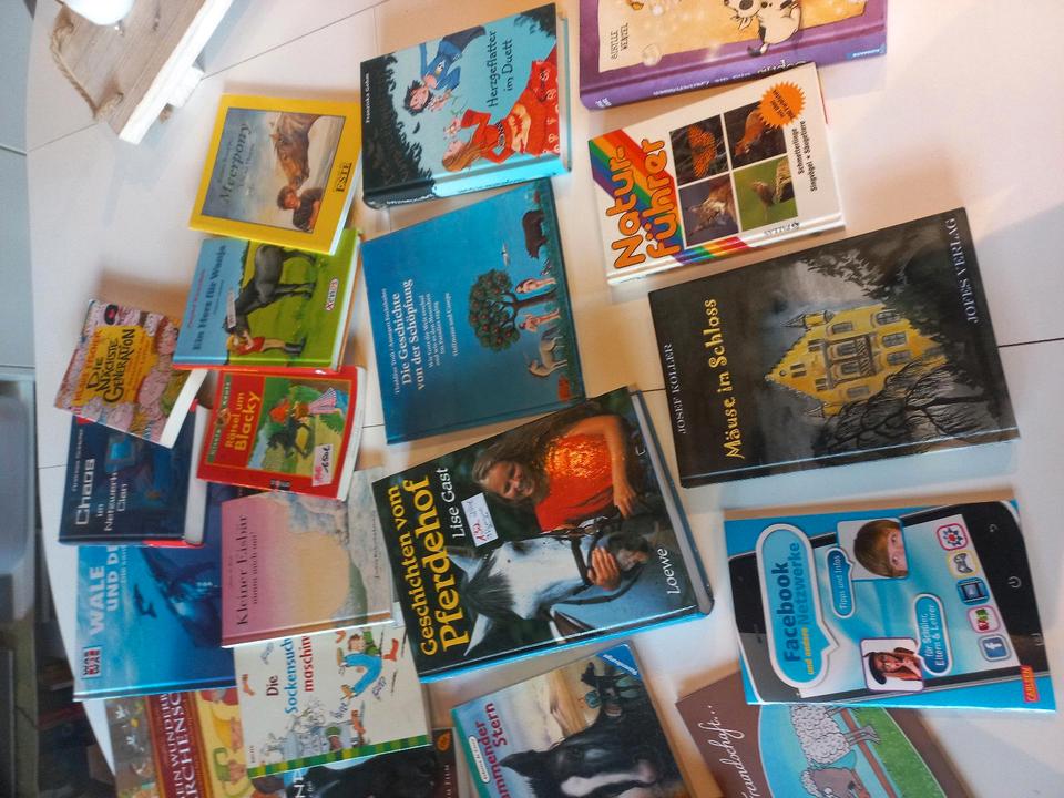 Jugendbücher Bücher Jugend Paket 20 Stück ostwind in Satrup