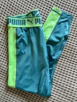 Puma Sport Leggings Gr M Hessen - Linsengericht Vorschau