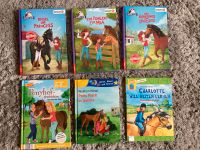 Pferde Kinder Bücher Schleich Horseclub Nordrhein-Westfalen - Recklinghausen Vorschau