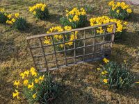 Fenstergitter Tür Antik Schmiedeeisen Deko Baden-Württemberg - Leutkirch im Allgäu Vorschau