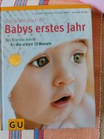 Bücher von der Schwangerschaft über Babys erstes Jahr bis zurErnä Baden-Württemberg - Dornhan Vorschau