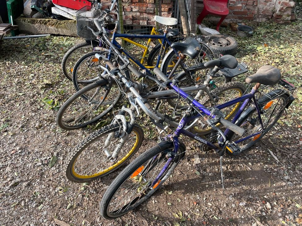 Fahrrad Fahrräder Damenrad Herrenrad Schrott in Groß Neuendorf