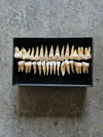 Kunststoff Zähne Aachen - Laurensberg Vorschau