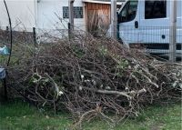 Wir entsorgen Gartenabfall, Grünschnitt, Laub, Hecken, Bauschutt Köln - Ehrenfeld Vorschau