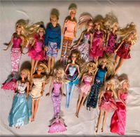 16 Barbiepuppen Konvolut Niedersachsen - Dannenberg (Elbe) Vorschau