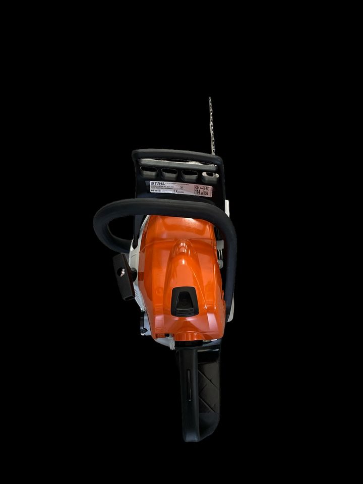 Stihl MS 171 in Kissing