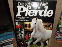 Pferde Buch Brandenburg - Groß Kreutz Vorschau