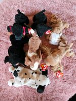 Konvolut 7 Beanie Baby Hunde Rheinland-Pfalz - Bosenbach Vorschau