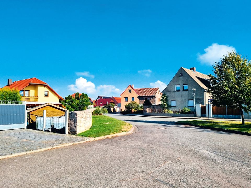 Vermietetes Einfamilienhaus in idyllischer Lage (P23-04-021) in Reinsdorf