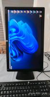 HP EliteDisplay E231 23 Zoll Monitor Altona - Hamburg Lurup Vorschau