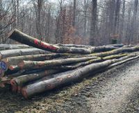 Frisches Buchenbrennholz auf Wunschlänge Nordrhein-Westfalen - Medebach Vorschau
