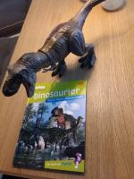 Dinosaurier Buch von Memo und gr. Dinospiefigur ( beweglich) Baden-Württemberg - Neuenburg am Rhein Vorschau