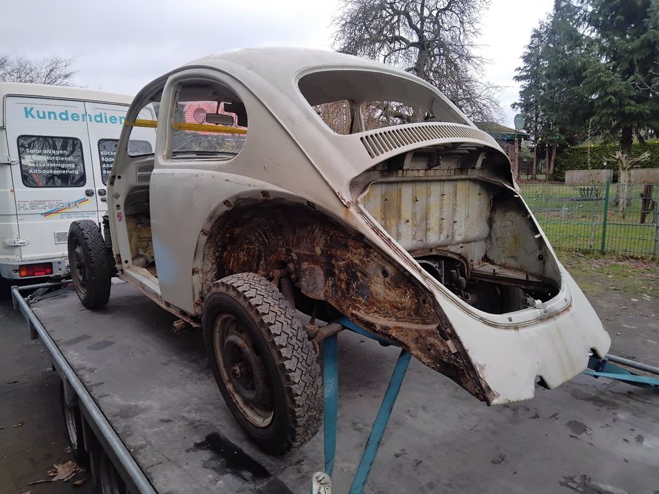 VW Käfer 1969 Projekt in Heidmühlen