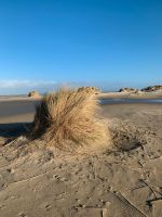 Borkum Nordsee Ferienwohnung für 2Pers. Keine Tierhaltung Balkon Nordrhein-Westfalen - Augustdorf Vorschau