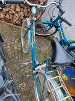 Hercules Fahrrad Damen 26 Zoll vintage Dreigang Hessen - Alsfeld Vorschau