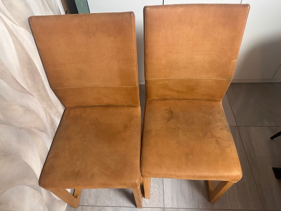 Esszimmertisch - Stühle können dazu mitgenommen werden in Marl