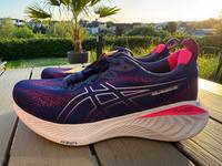 Asics Gel Cumulus 25 Neu Gr. 40,5 + 42 Laufschuh Damen Rheinland-Pfalz - Wittgert Vorschau