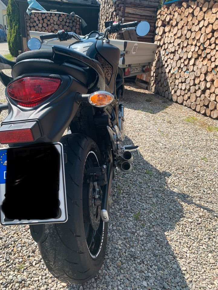 Suzuki Gladius 650 in Egenhofen