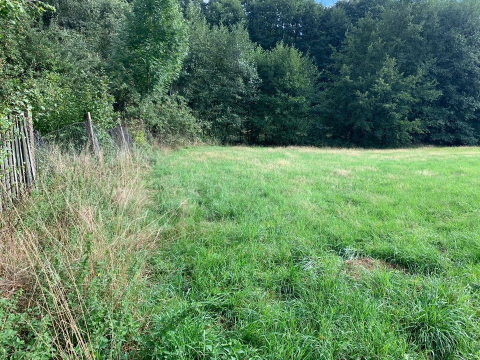 * Lederhose * A9 * An Feld & Wald * Wiese zum mähen zu verpachten in Lederhose