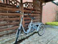 Vanraam E-bike Dreirad Seniorenrad Therapierad Nordrhein-Westfalen - Selm Vorschau