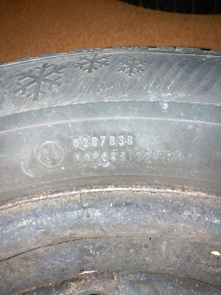 4 Winterreifen Semperit 195/65 R15 T  DOT 3416 in Hettstadt