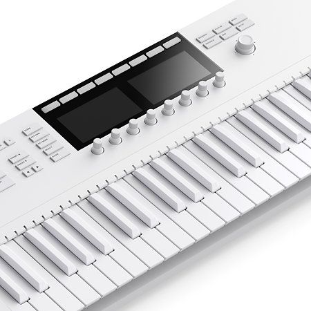 SUCHE KOMPLETE KONTROL S61 MK2 VAPOR GRAY in Dortmund