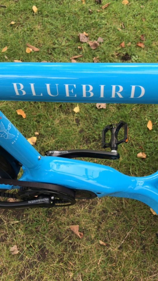 Bullitt Bluebird 6100 Nexus Di2 Gates 2021 in Hamburg