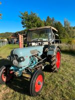 Eicher Panther EM295G Traktor Trecker Niedersachsen - Friedland Vorschau